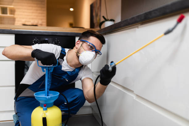 Best Best Pest Control Companies  in Glendale Heights, IL