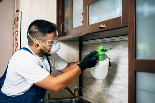 Reliable Glendale Heights, IL Pest Control Solutions