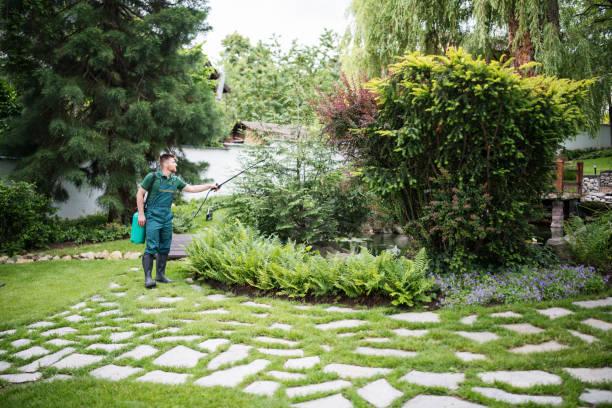 Best Ant Control Services  in Glendale Heights, IL