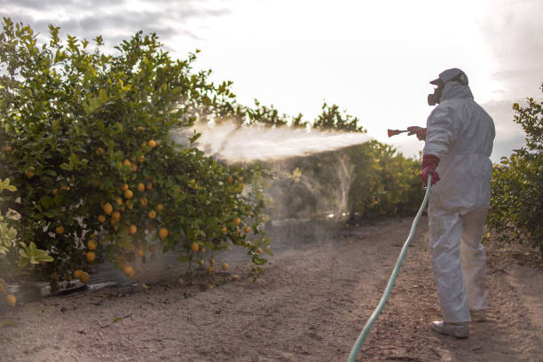 Best Commercial Pest Control Services  in Glendale Heights, IL