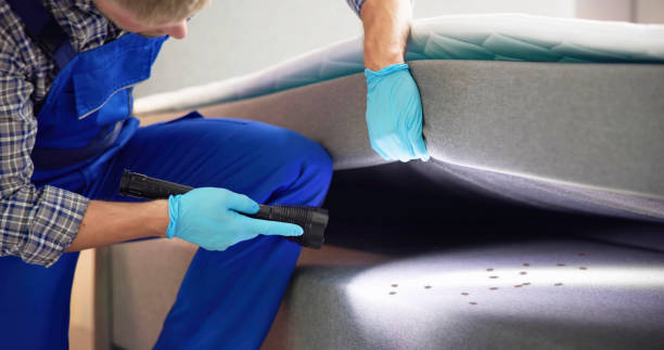 Best Pest Inspection Near Me  in Glendale Heights, IL