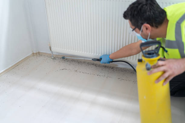 Pest Control for Restaurants in Glendale Heights, IL