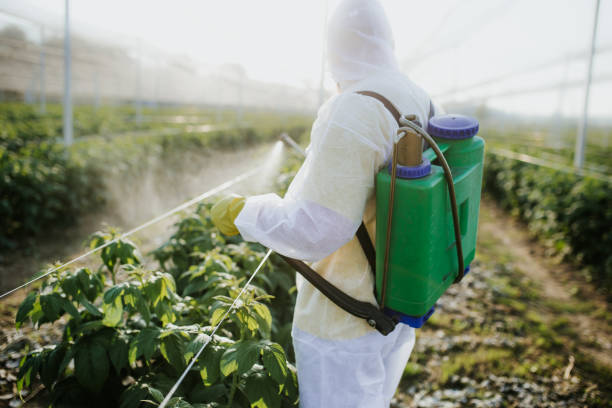 Best Pest Inspection Near Me  in Glendale Heights, IL
